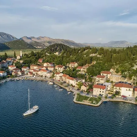 Toncica - * Rogotin