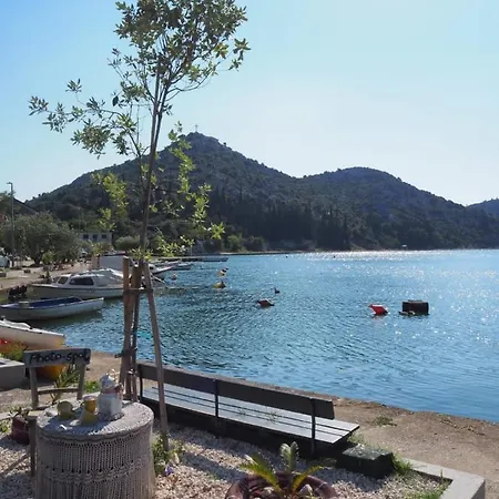 Toncica -